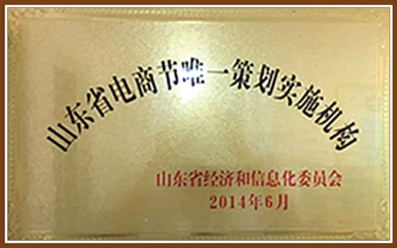 山东省电商节唯一策划实验机构