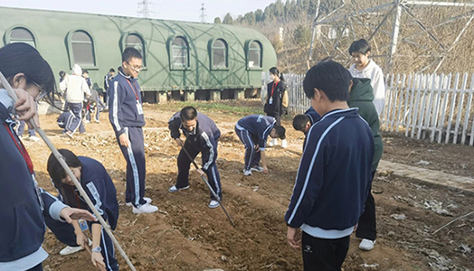 综合实践新课堂——翻开多学科的融合途径